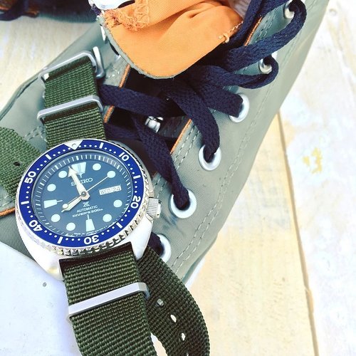 n_turtlegreen