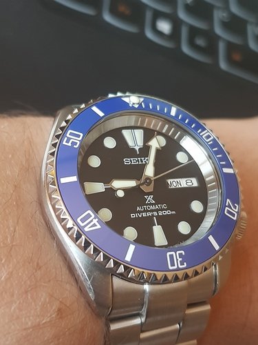15311629940717139907144317246181