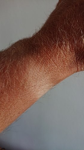 15333631121817510828215591427168