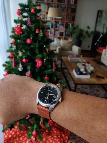 Seiko sarb033
