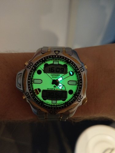 IMAG0684