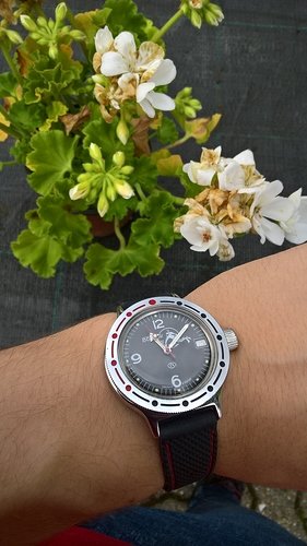WP_20180603_11_08_55_Pro