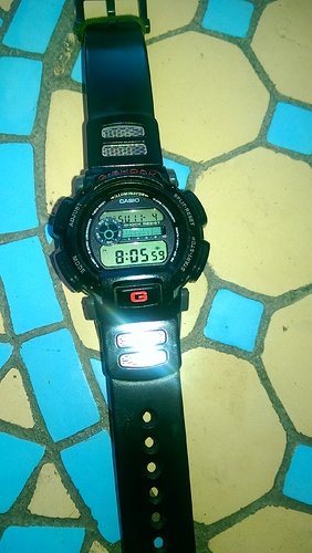 IMAG0977