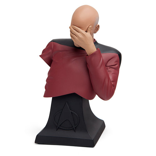 kjmn_st_tng_picard_facepalm_bust_alt