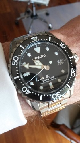GS Diver