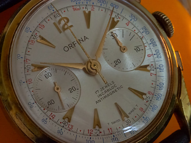Orfina-closeUp