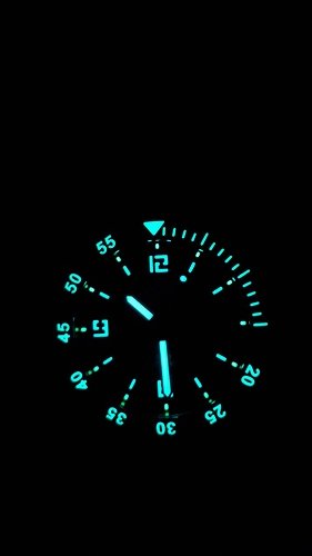 15341921474058625067015881466598