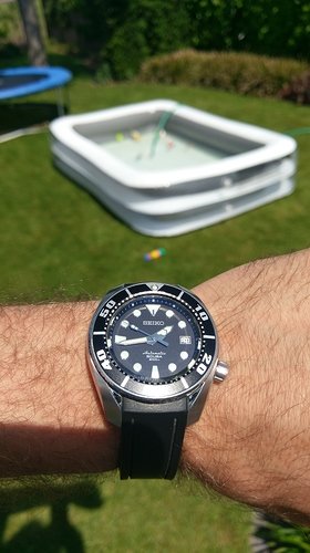 IMAG1677