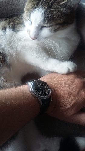 20180602_113730