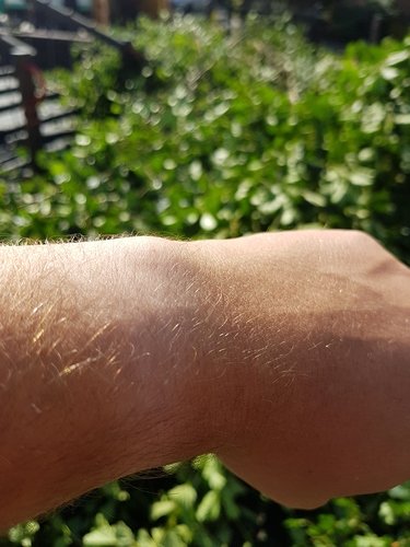 20180825_105131