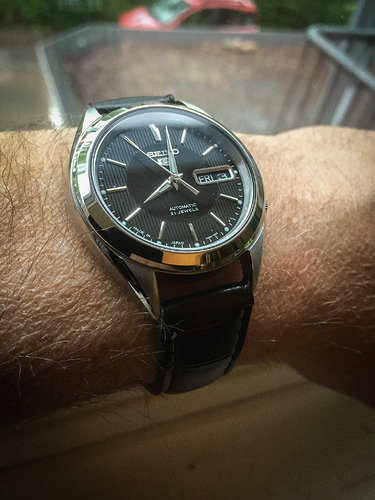 Dienske-10