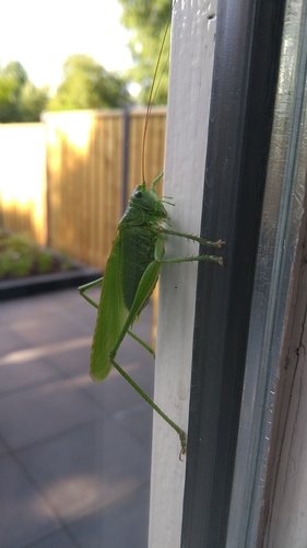 IMG_20180620_091523