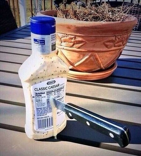 Et tu brute_80f02b_6156770
