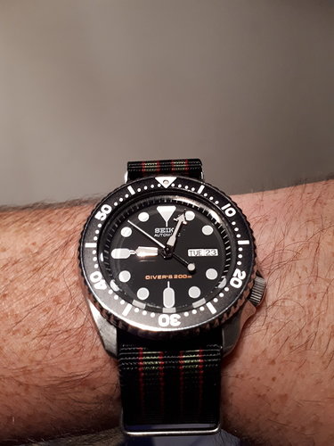 15403213988263374669310103891794