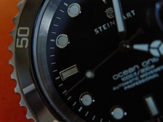 Steinhart-1