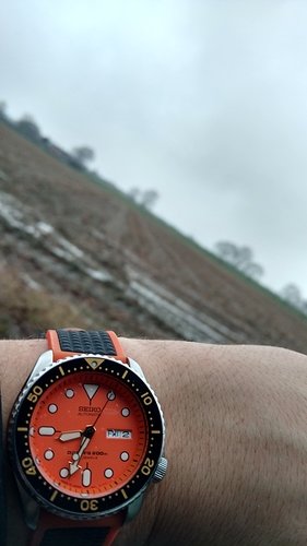 IMG_20180202_083302929_HDR