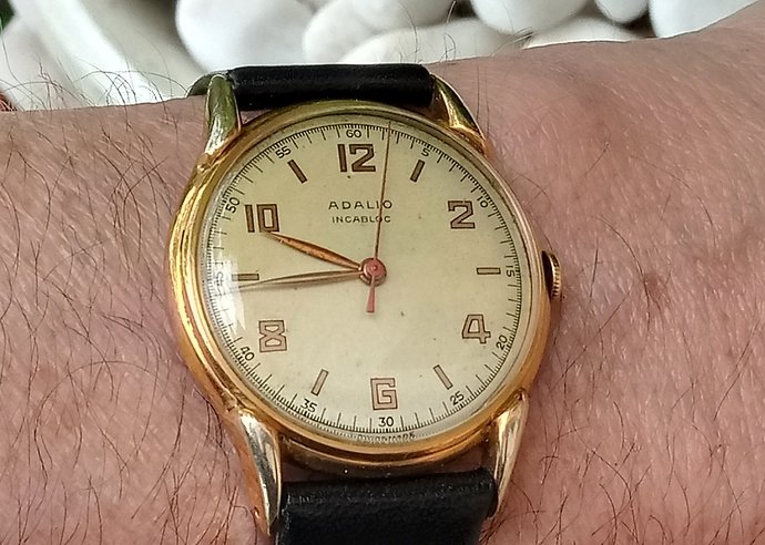 20190527_094455_HDR (2)