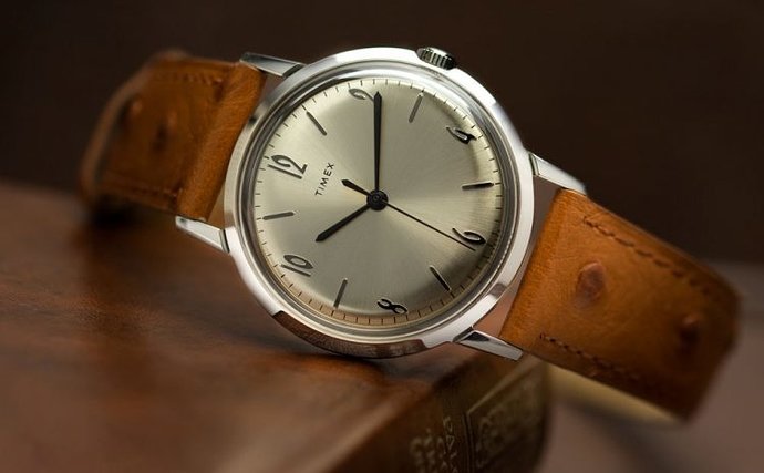 Timex-on-Ostrich-FINAL-750x465