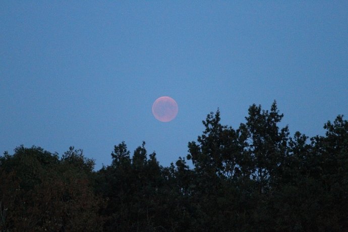 Bloedmaan_27-07-27_IMG_5945