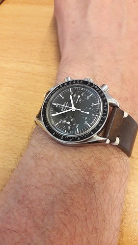 speedy