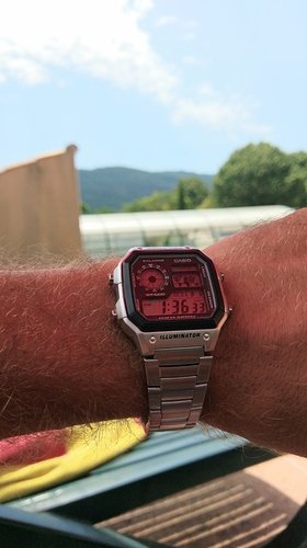 IMAG2441