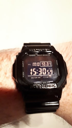 15462666353168614651988362102862