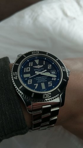 IMAG0261