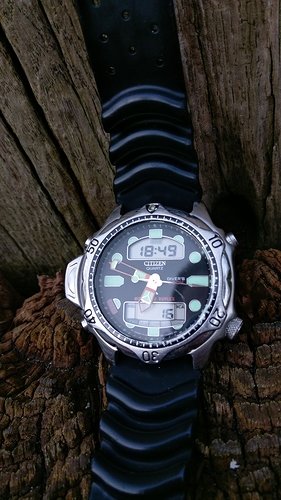 IMAG2173