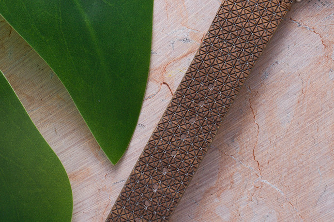 2400-ace-compassionate-luxury-ash-cork-strap-1