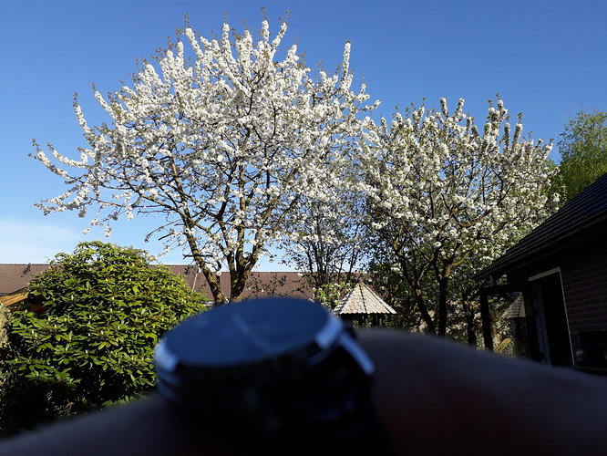 20180419_180250