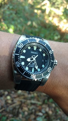 IMG_20180811_082638142_TOP