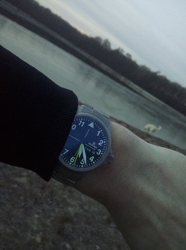 IMAG7193