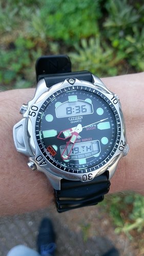 IMAG2178