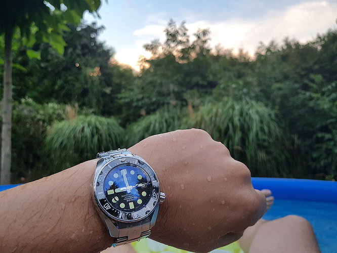 SMM6