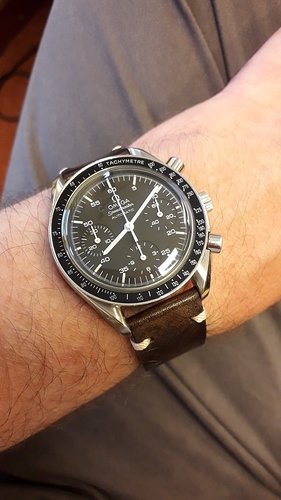 speedy