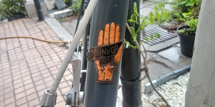 20190428_084518_HDR
