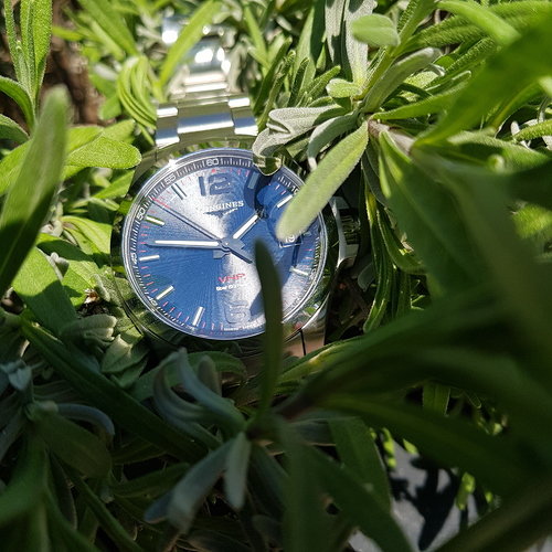 20190419_134654