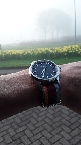 20190329_073302
