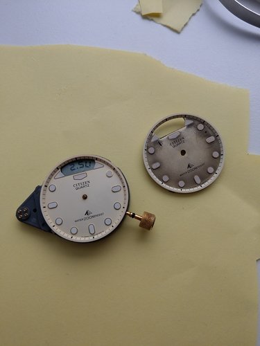 IMAG0553