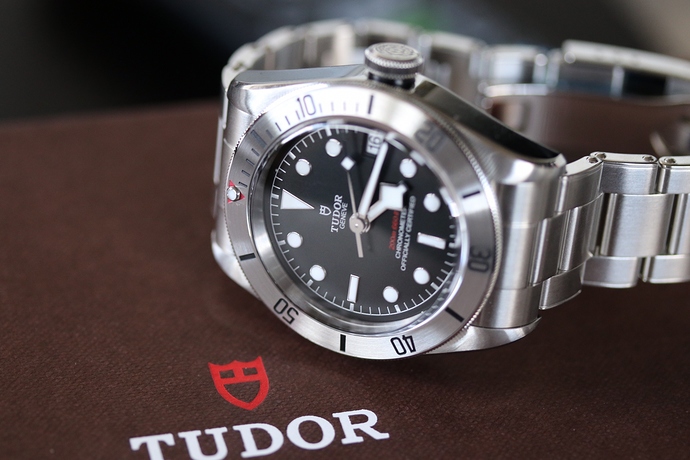 Tudor 79730