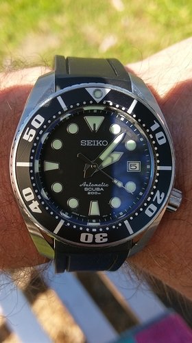 IMAG1500