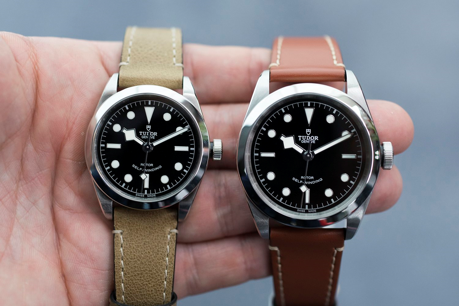 Tudor black store bay 41