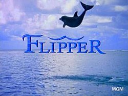 250px-Flipper_1995_TV_series_title_card