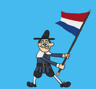 vlag