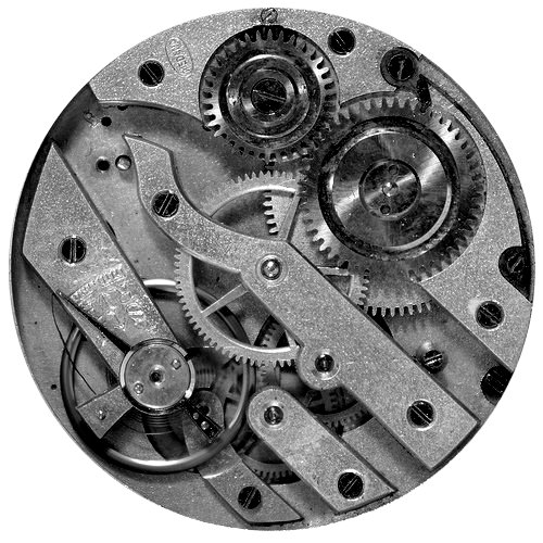 24