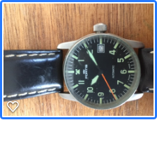 FortisFlieger
