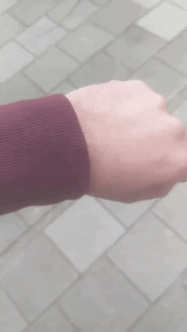 giphy (14)