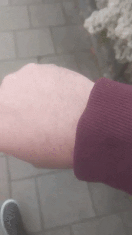 giphy (15)