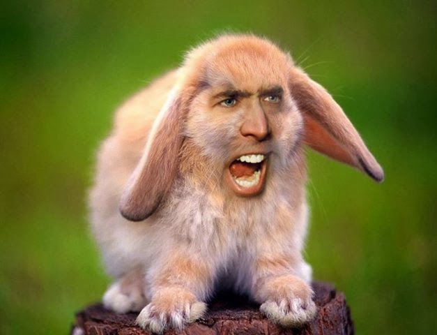 Chris Pietrantonio Bunny