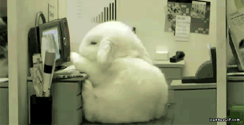giphy (39)